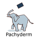 Pachyderm logo