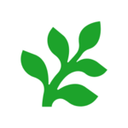 Fern logo